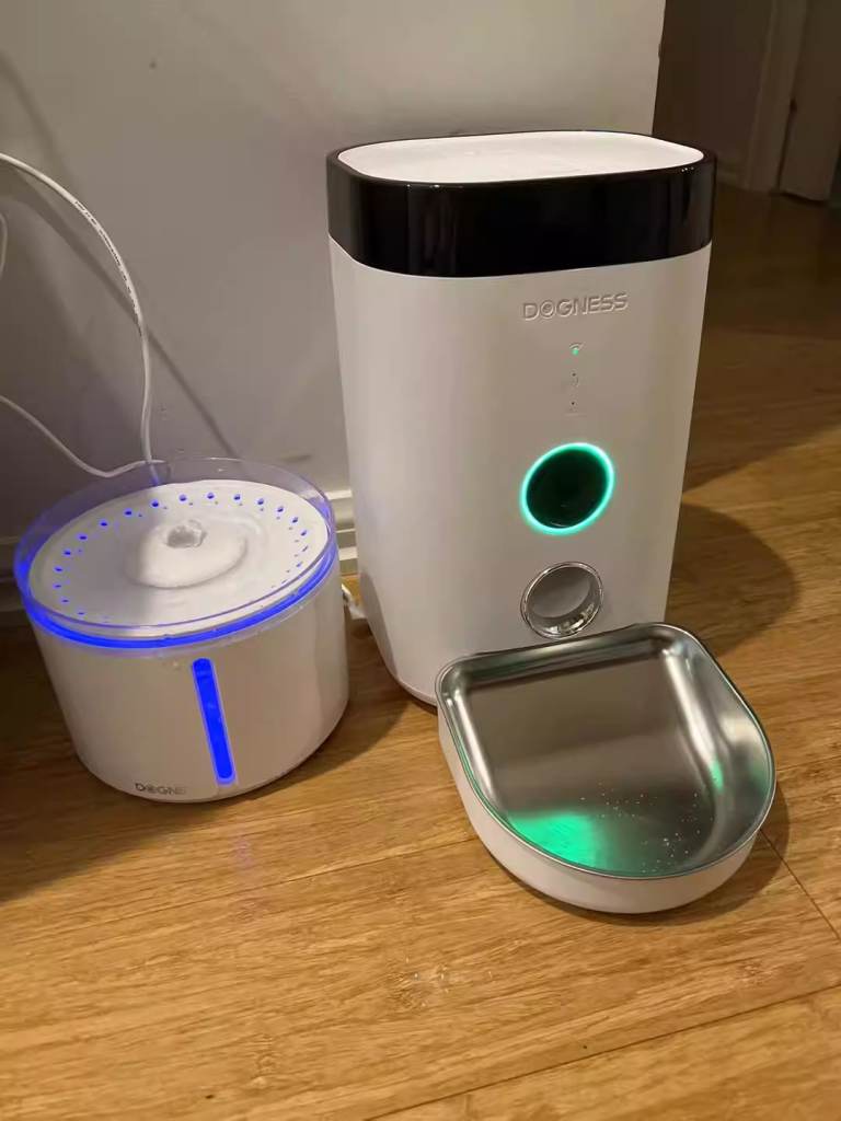 pet auto feeder for sale