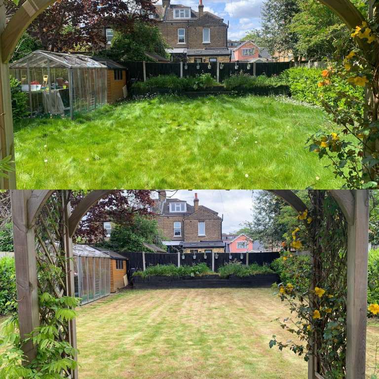 emaan landscape and gardening services