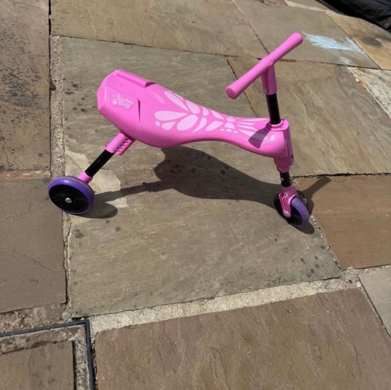 Pink scuttlebug 