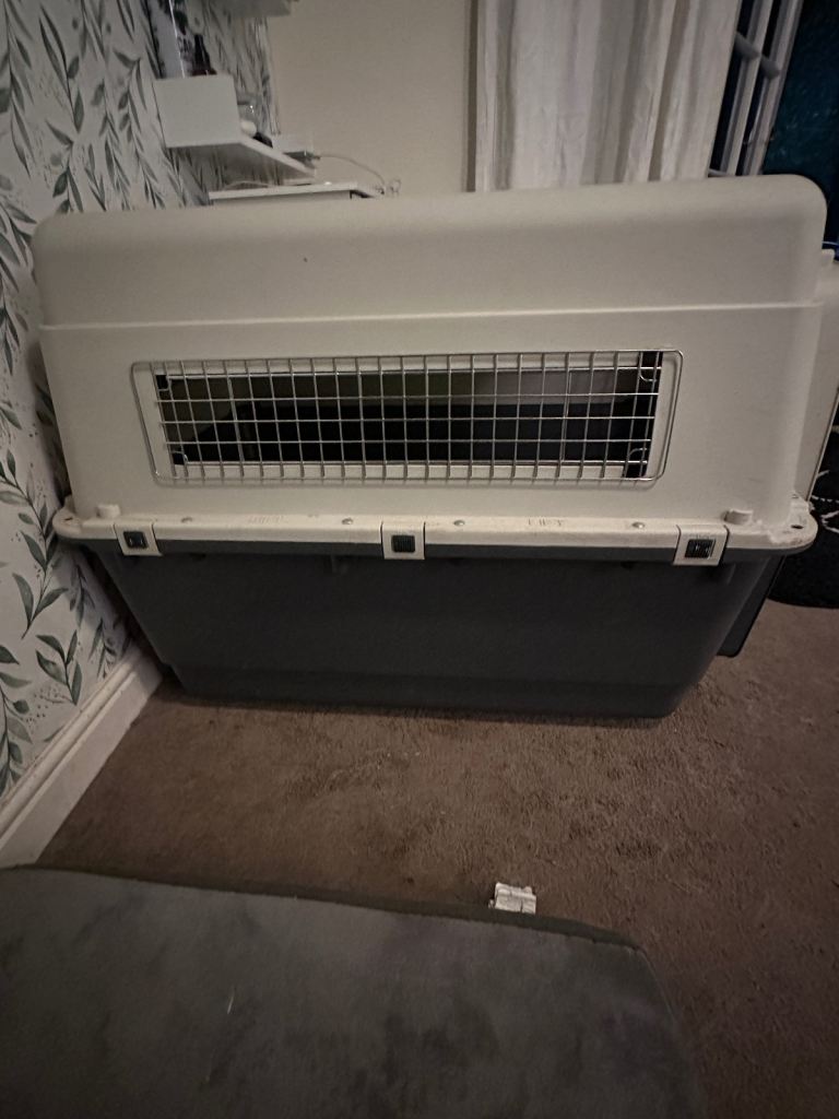 Dog Crate XL 