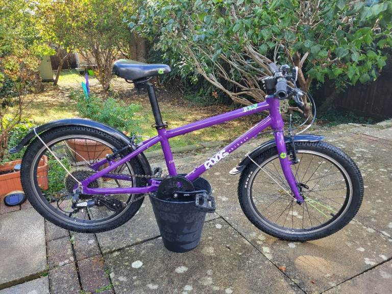 Frog 55 Purple