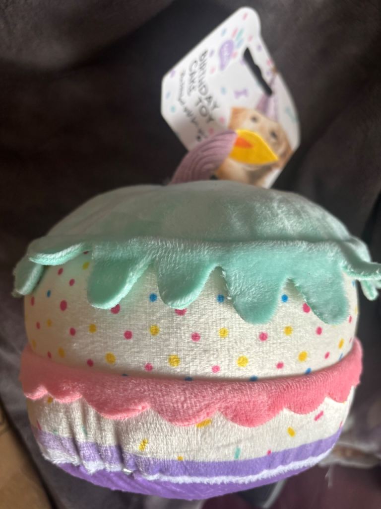 Birthday Cake Pet Toy