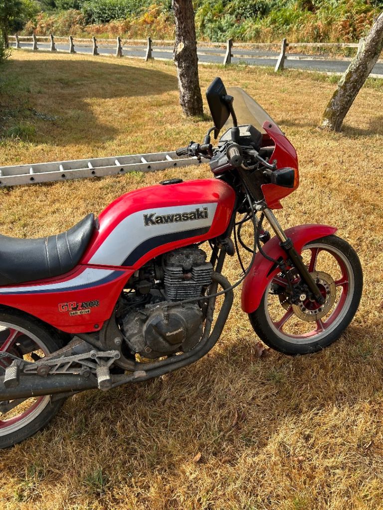 Kawasaki, 1986, 305 (cc)