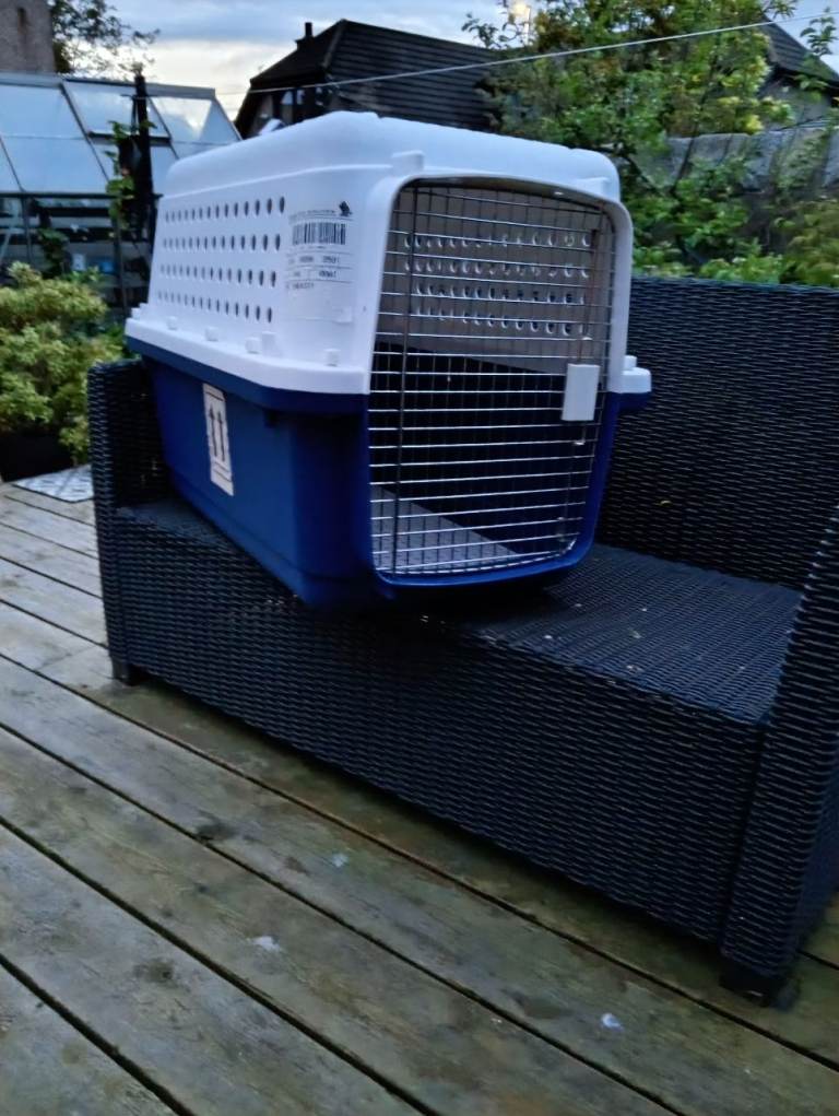 Large pet varrier7
