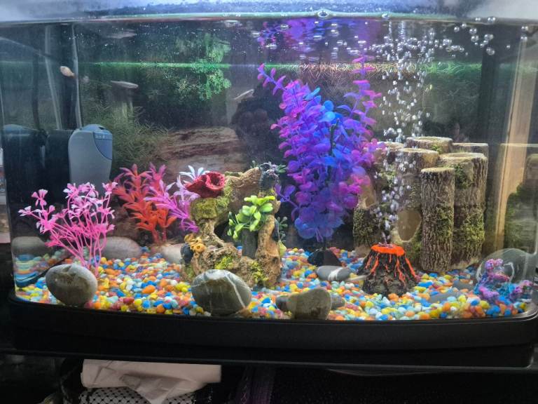 Fish tank 