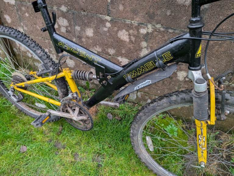 Adult full suspension mountain bike 