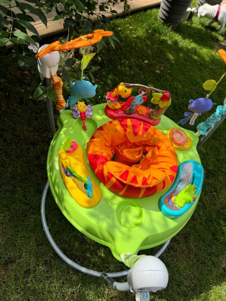 Fisher-Price Baby Bouncer Jumperoo – Multicoloured, Good Condition