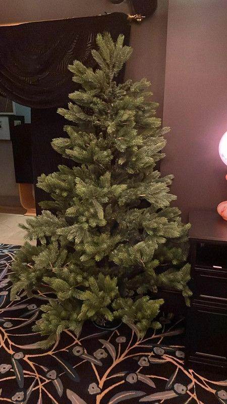 Bushy Christmas Tree