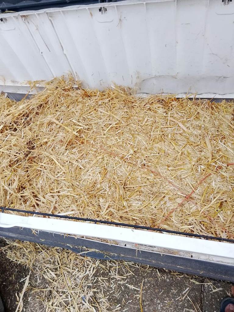 Hays bundle for sale