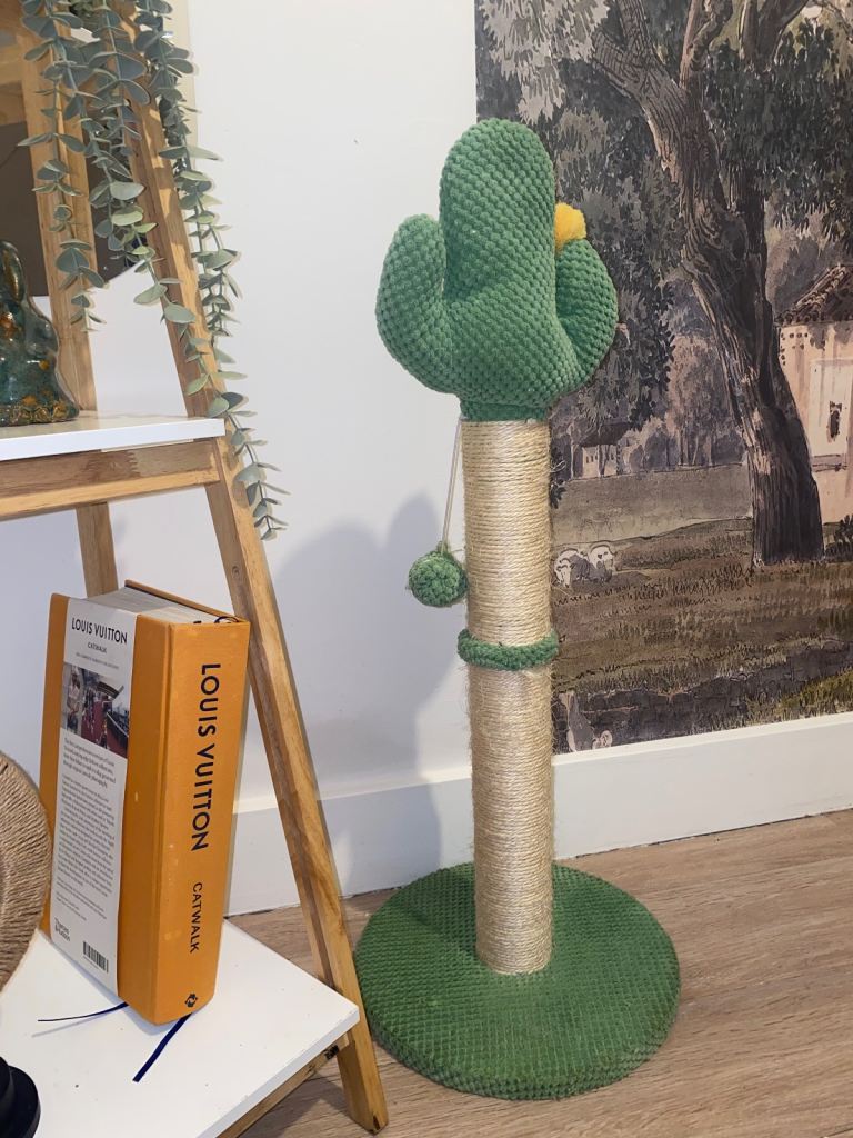 Cactus cat scratch post 