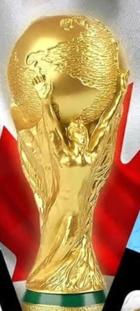 World Cup Final ticket 