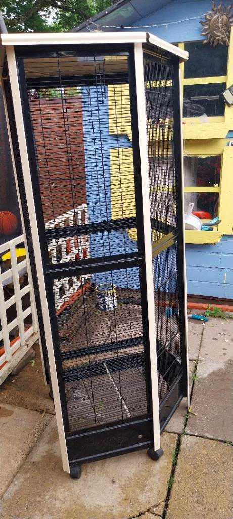 Bird cage 