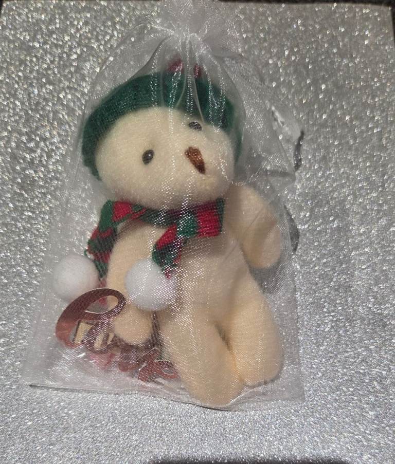 TEDDY BEAR XMAS GIFT