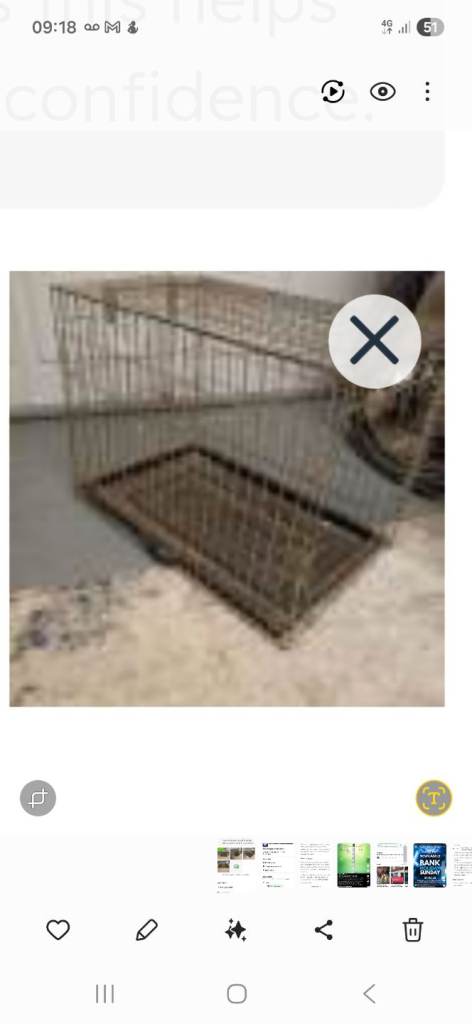 Dog cage
