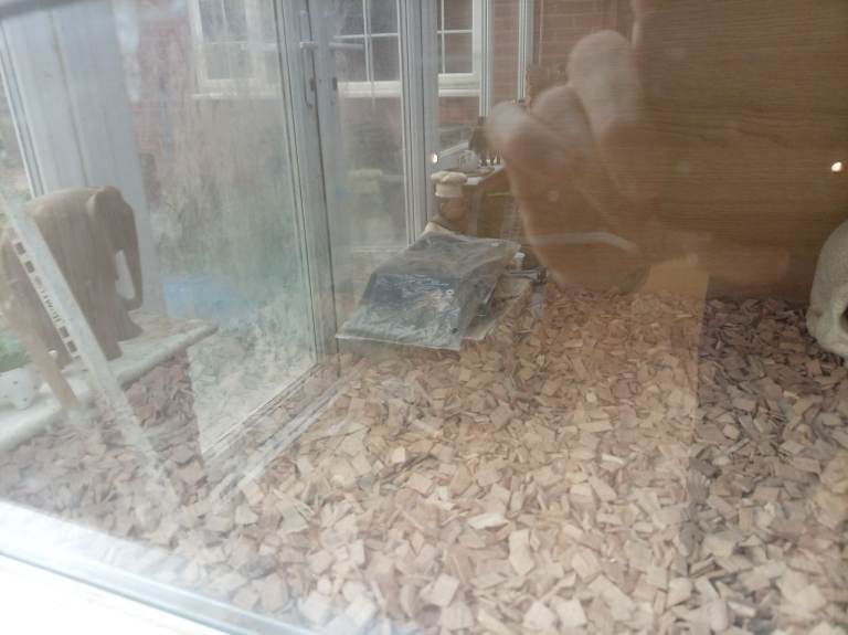 Vivarium 
