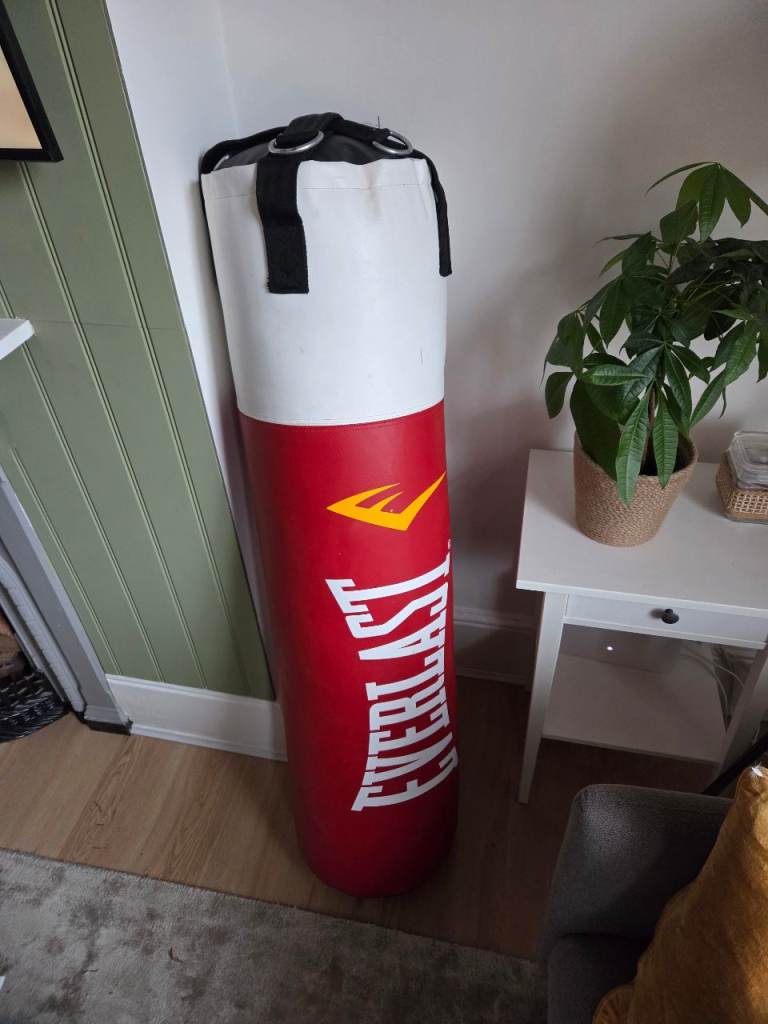 Everlast Boxing Bag