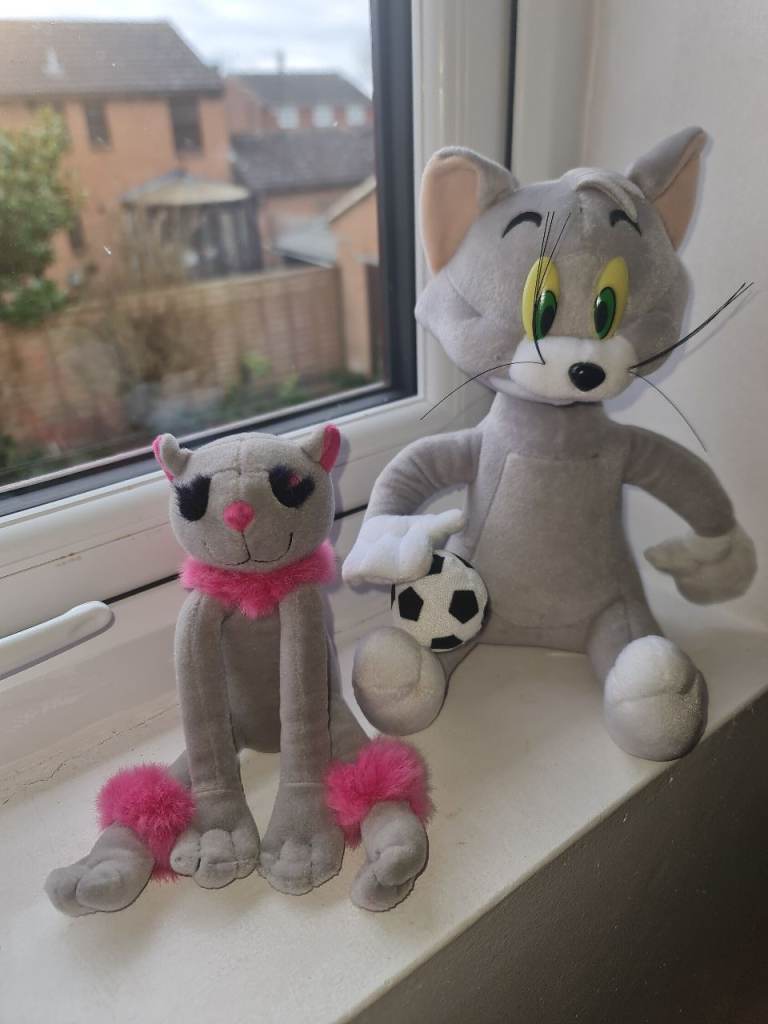 Tom and Jerry and cat toy