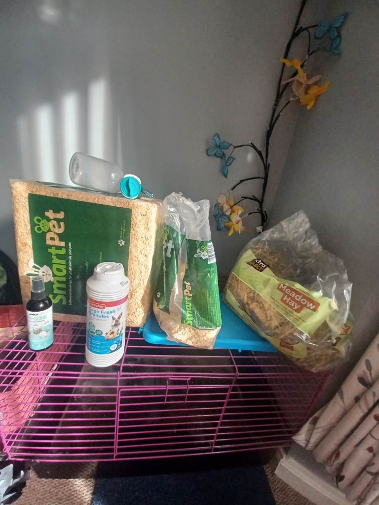 Guinea pig bits & pieces