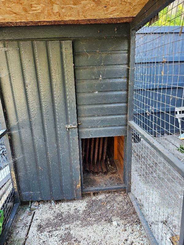 Dog kennel with run/ chicken coup or aviary