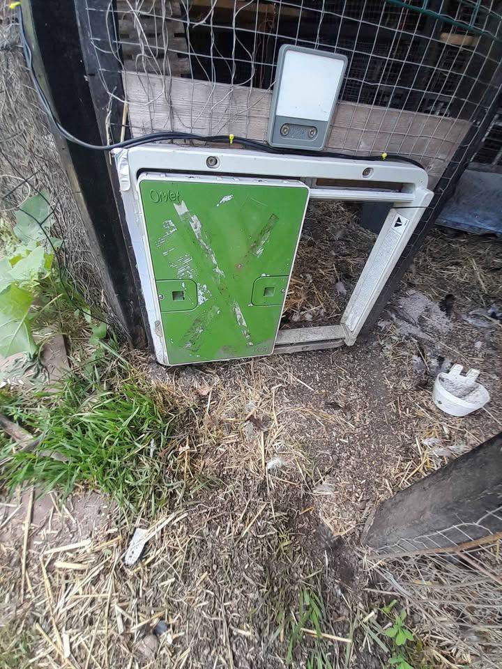 Omlet automatic door coup and housing for chickens poultry etc