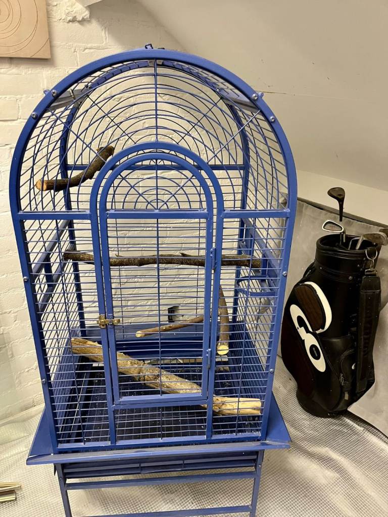 Birds cage bird+cages / bird cage