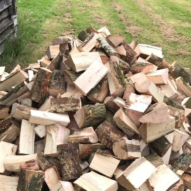 Free Firewood