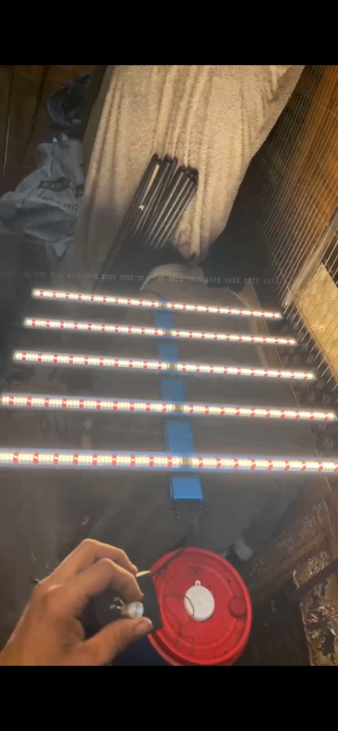 LED Grow Lights for Indoor Plants – Good Condition