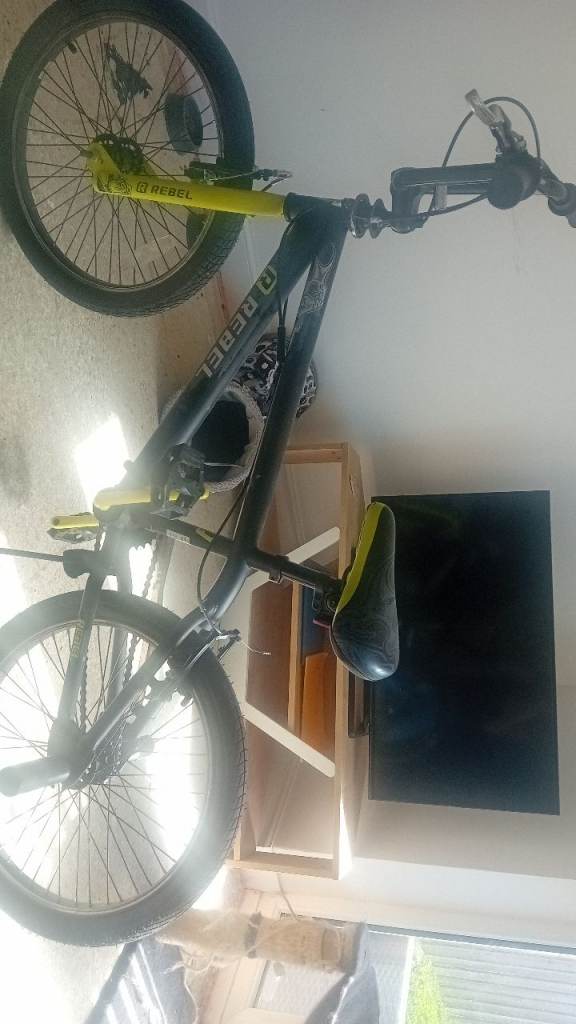 Children's 22in bmx 