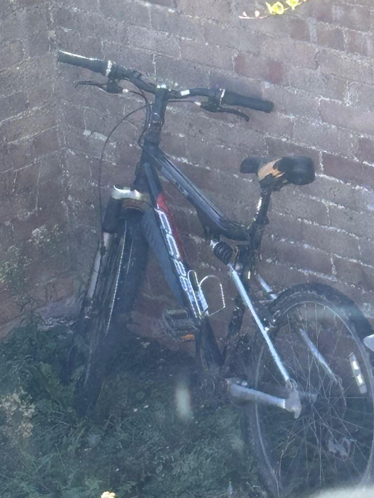 Apollo  Bike - 