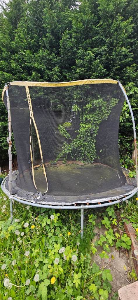 Trampoline