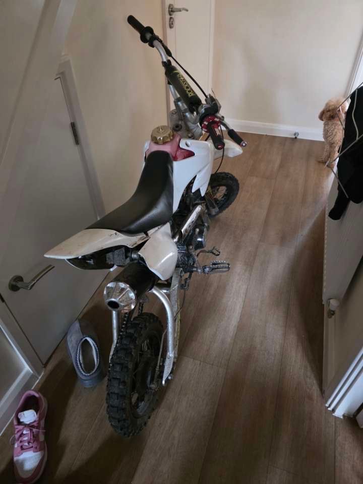 2016 A.P.C Motor Company x sports