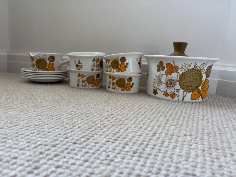 Midwinter “ COUNTRYSIDE “ Tableware. 