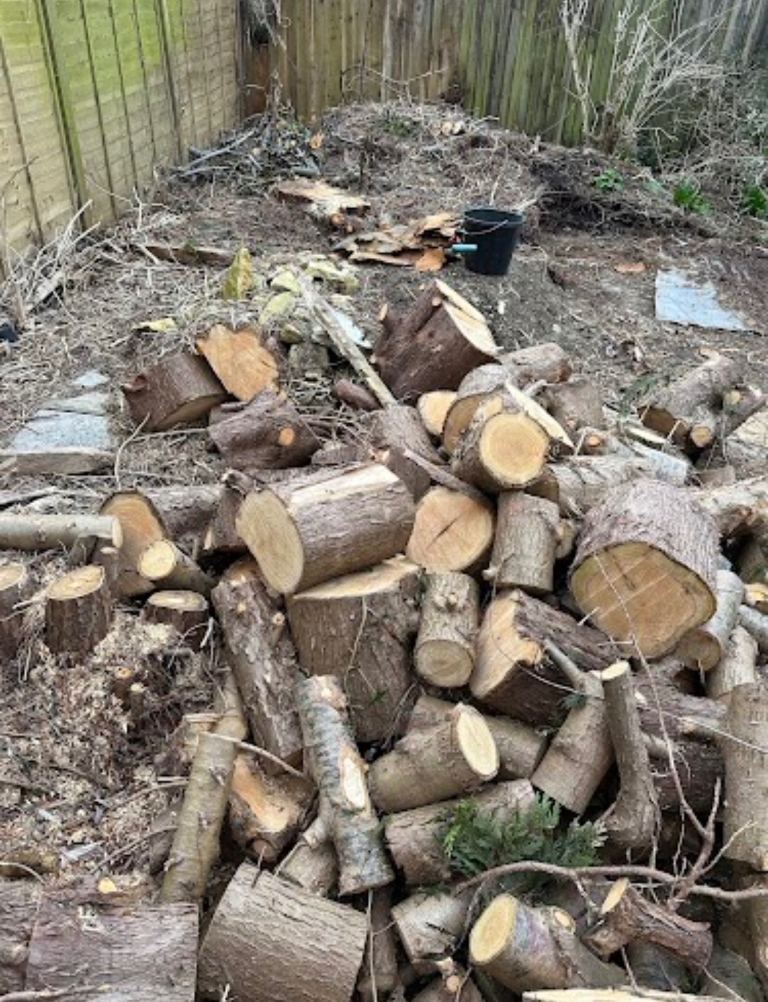 Garden clearance 