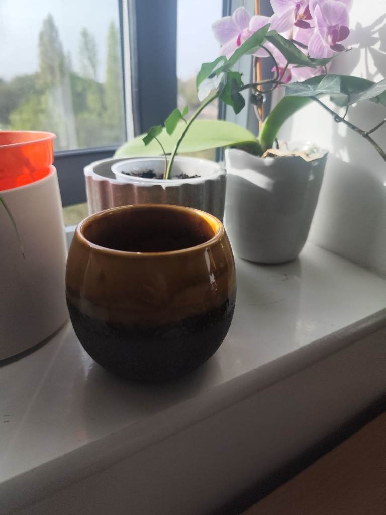 Plant pots medium size