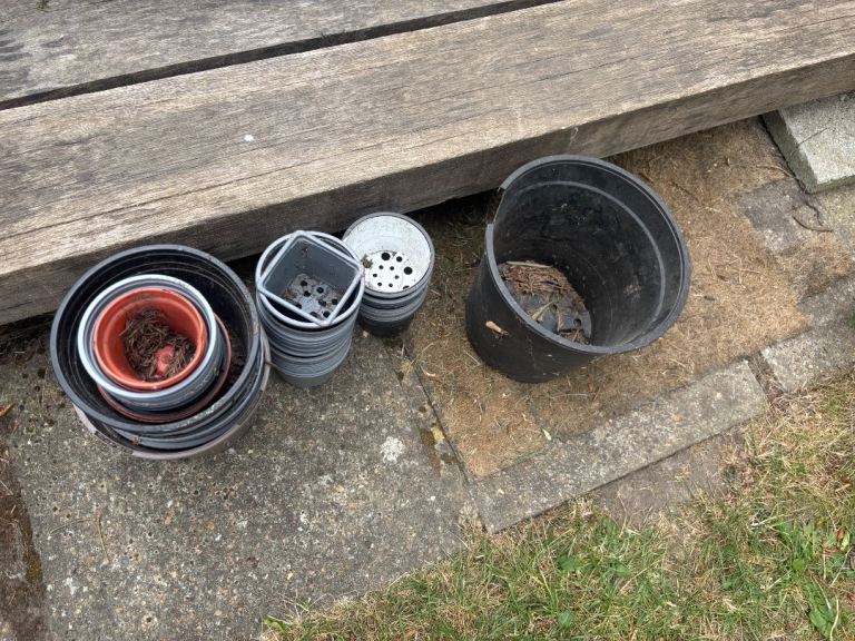 Free collection of plastic pots and plant cuttings