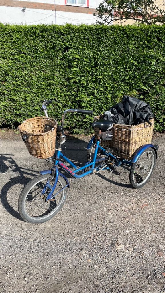 Adult Trike Tricycle