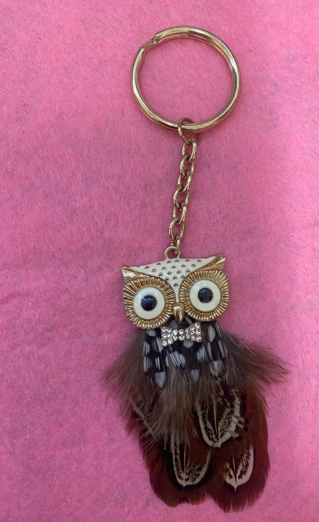 Owl key ring . 