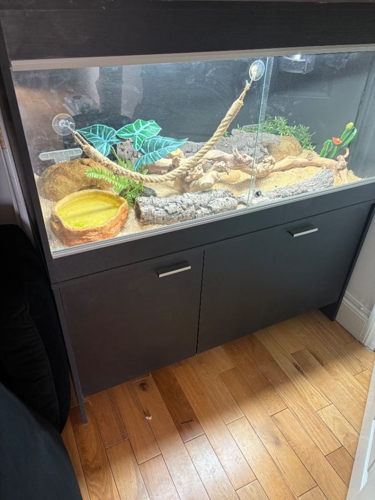 Large vivarium 