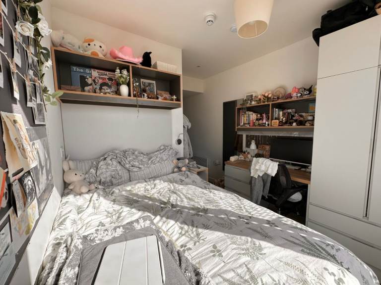 ⚡URGENT: Ensuite Student Room – Cambridge (May–Aug) | £500 Contribution (~£215/week)⚡
