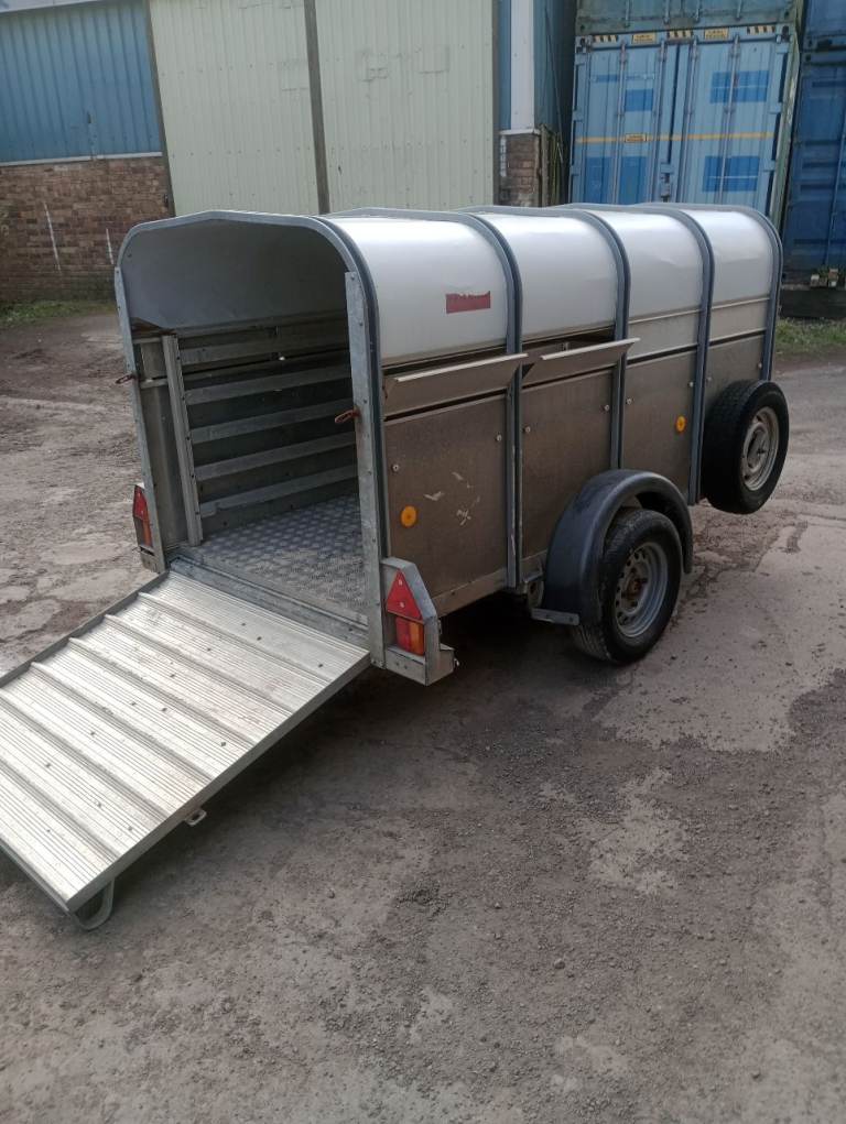 Ifor William p8g live stock trailer 