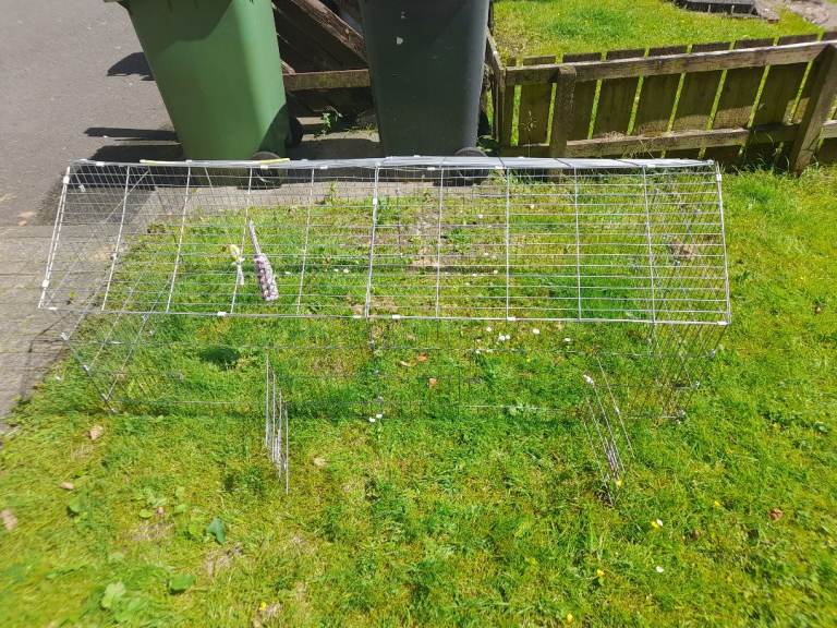 Rabbit Run