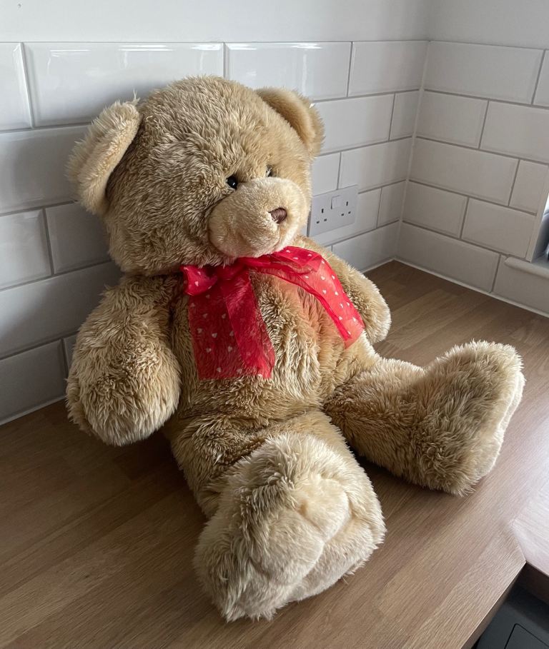 Giant Teddy Bear 74cm Stuffed Animal Large Bear Plush with Red Love Heart Ribbon