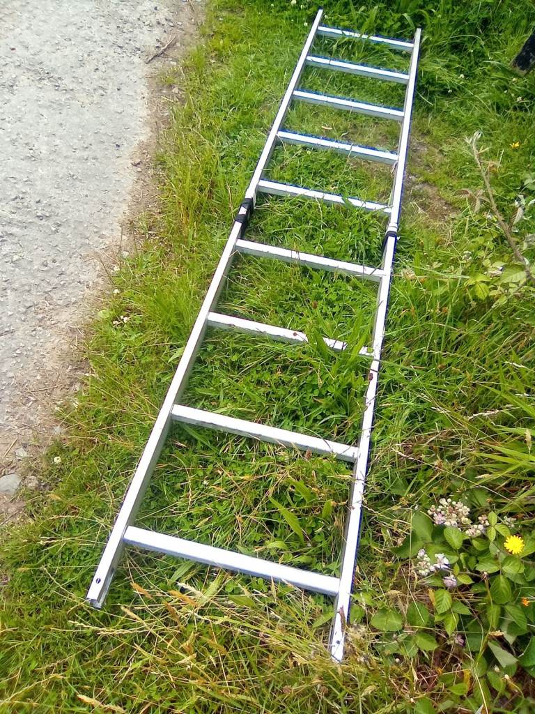 Aluminium Ladder 