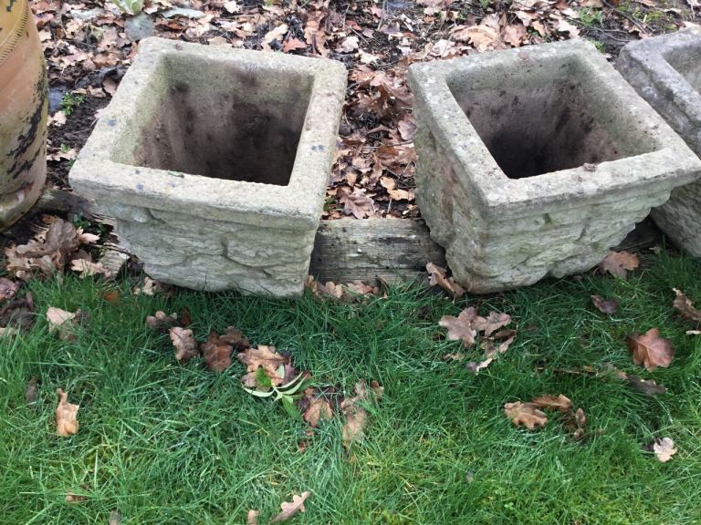 Concrete Planters