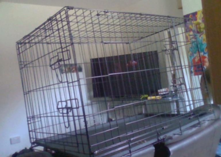 Large Dog Cage