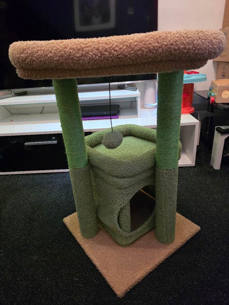 Cat Scratch pad/home