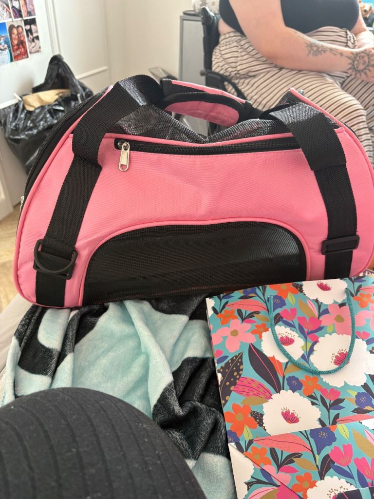 Pet carrier 