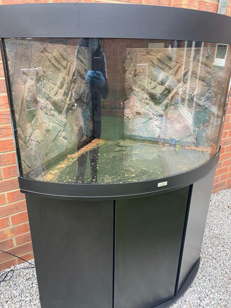 Juwel Trigon 190 Black fish tank aquarium tropical setup delivery 🚚