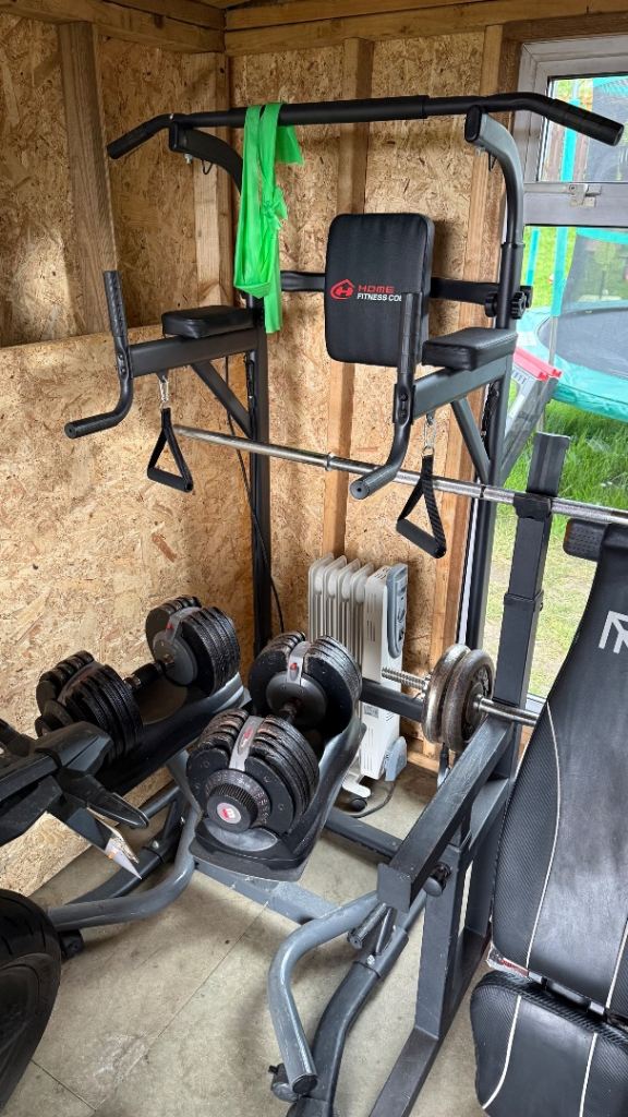 Pull-up/dip station