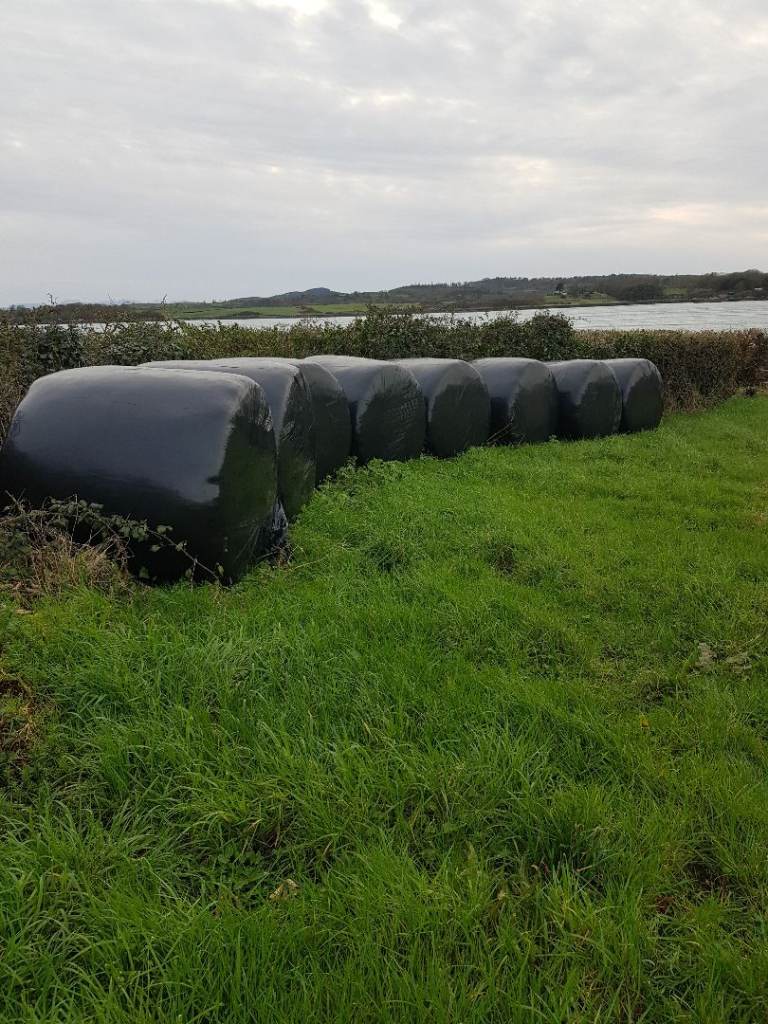Silage round bales